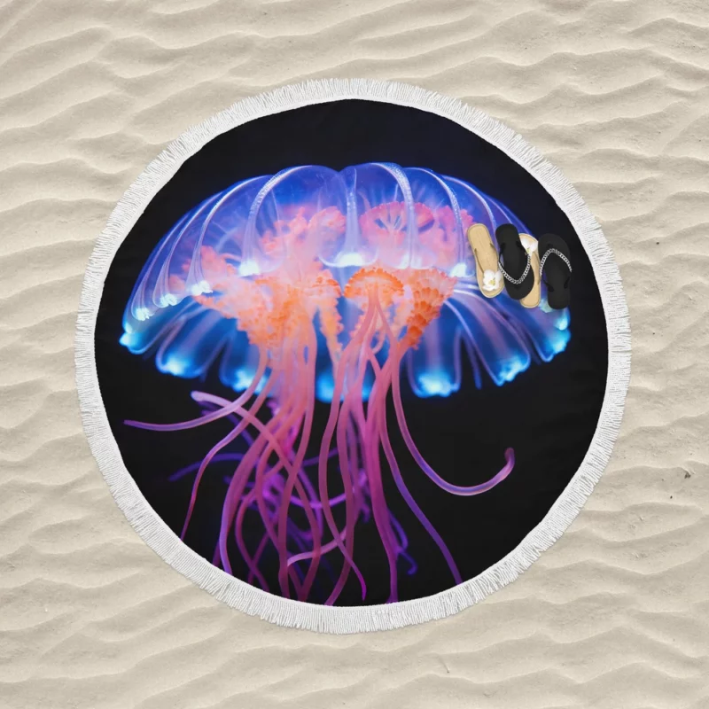 Jellyfish Aquatic Dance Round Beach Towel