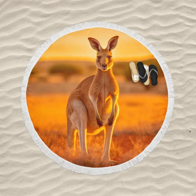 Kangaroo at Sunset Round Beach Towel