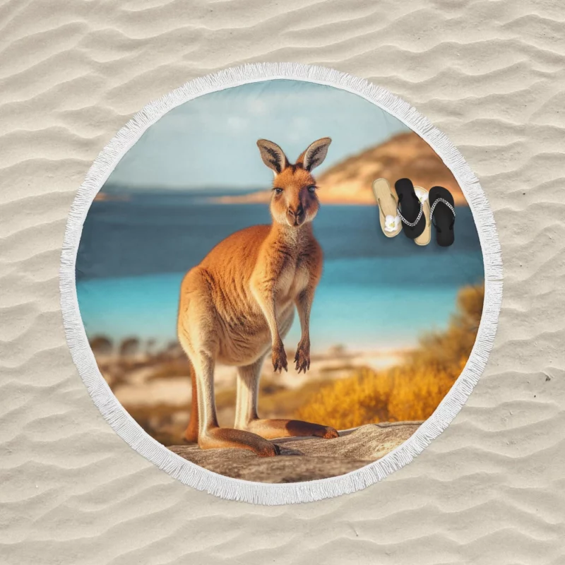 Kangaroo on Australian Beach Round Beach Towel