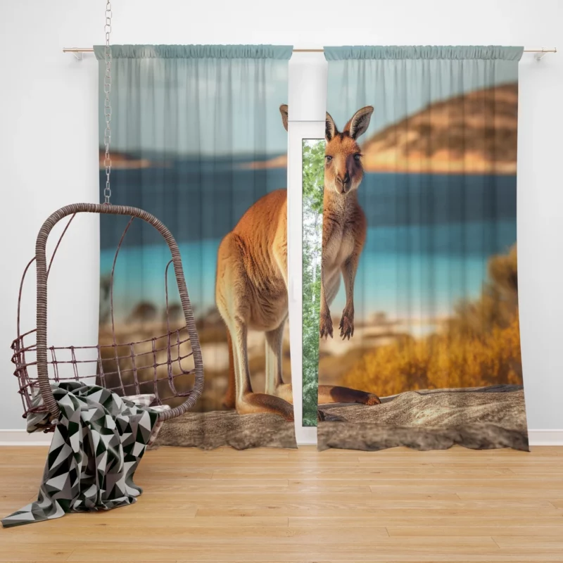 Kangaroo on Australian Beach Window Curtain