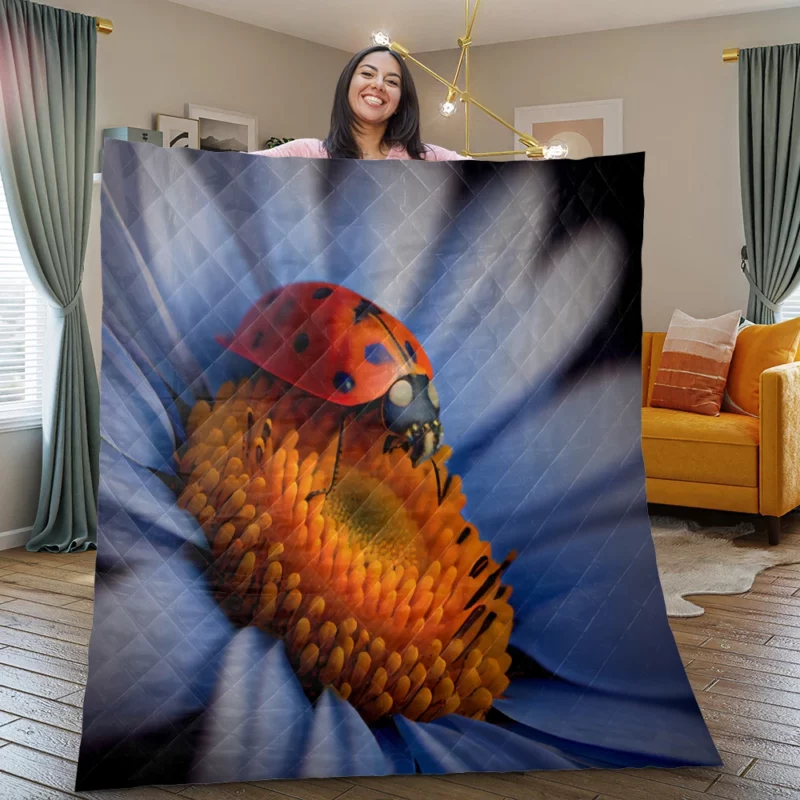 Ladybug on Blue Flower Quilt Blanket