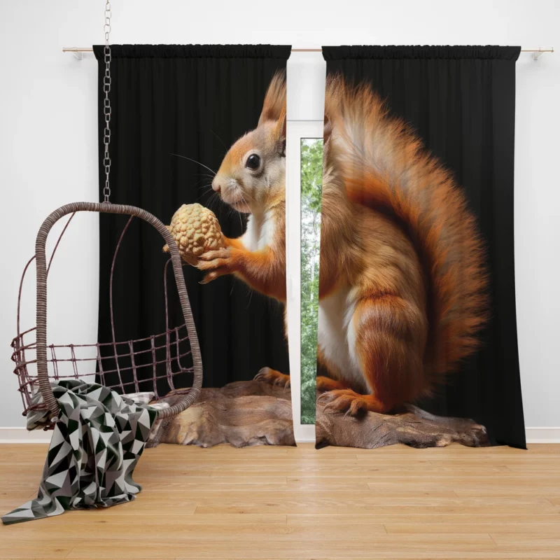 Lively Squirrel Nibbling a Nut Window Curtain