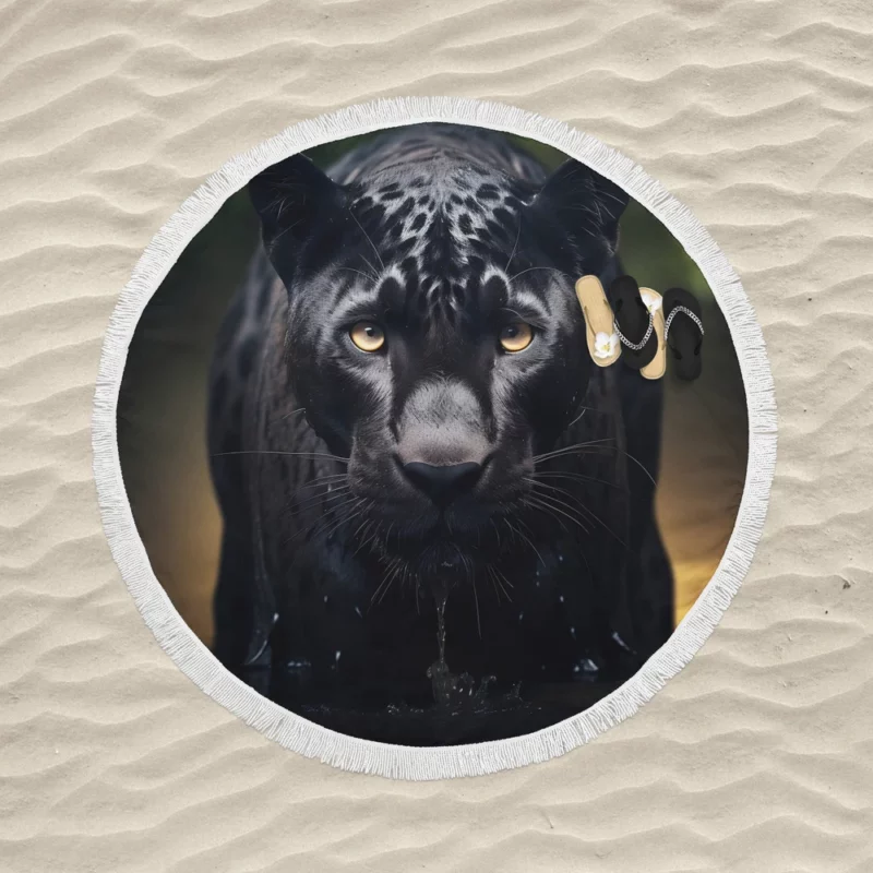 Majestic Black Panther Portrait Round Beach Towel