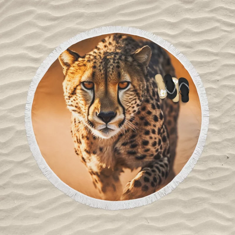 Majestic Cheetah at Sunset Round Beach Towel