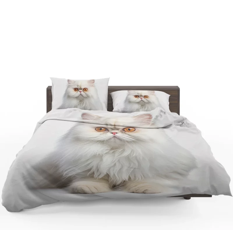 Orange Eyed Angora Cat Bedding Set 1