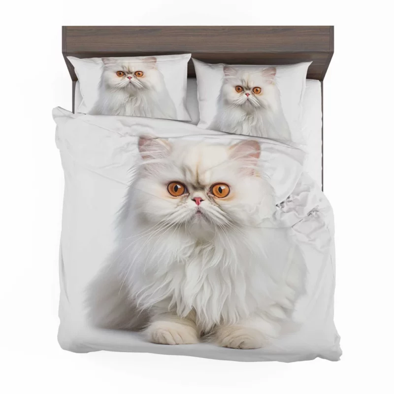 Orange Eyed Angora Cat Bedding Set 2