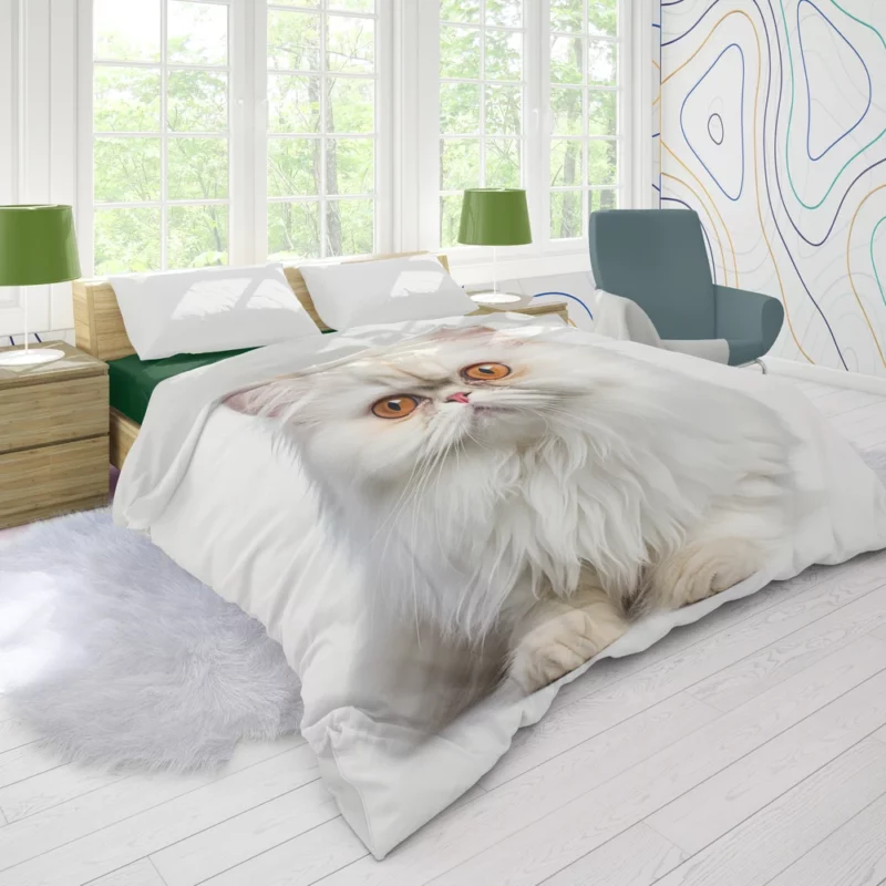 Orange Eyed Angora Cat Duvet Cover