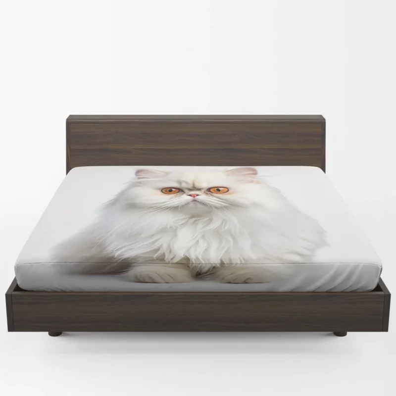 Orange Eyed Angora Cat Fitted Sheet 1