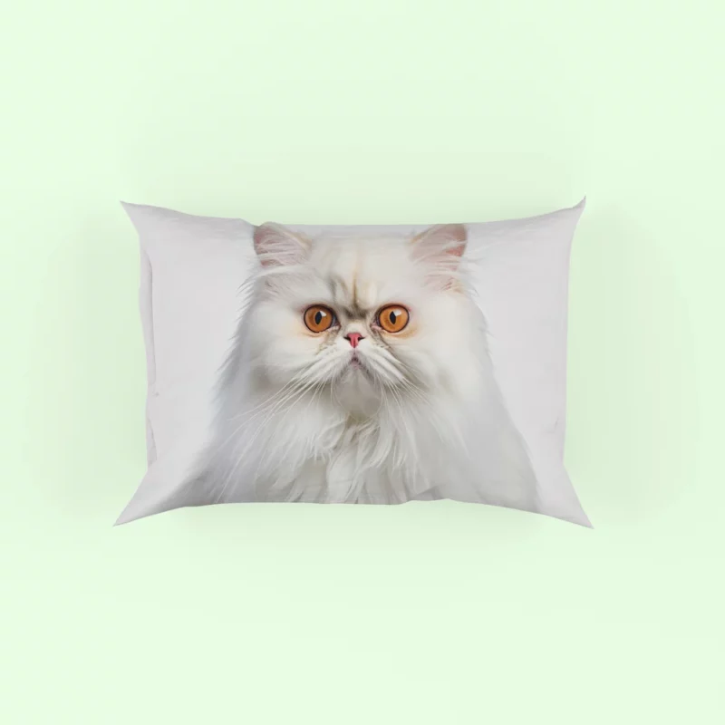 Orange Eyed Angora Cat Pillow Case