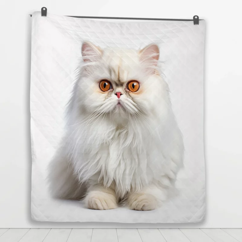 Orange Eyed Angora Cat Quilt Blanket 1