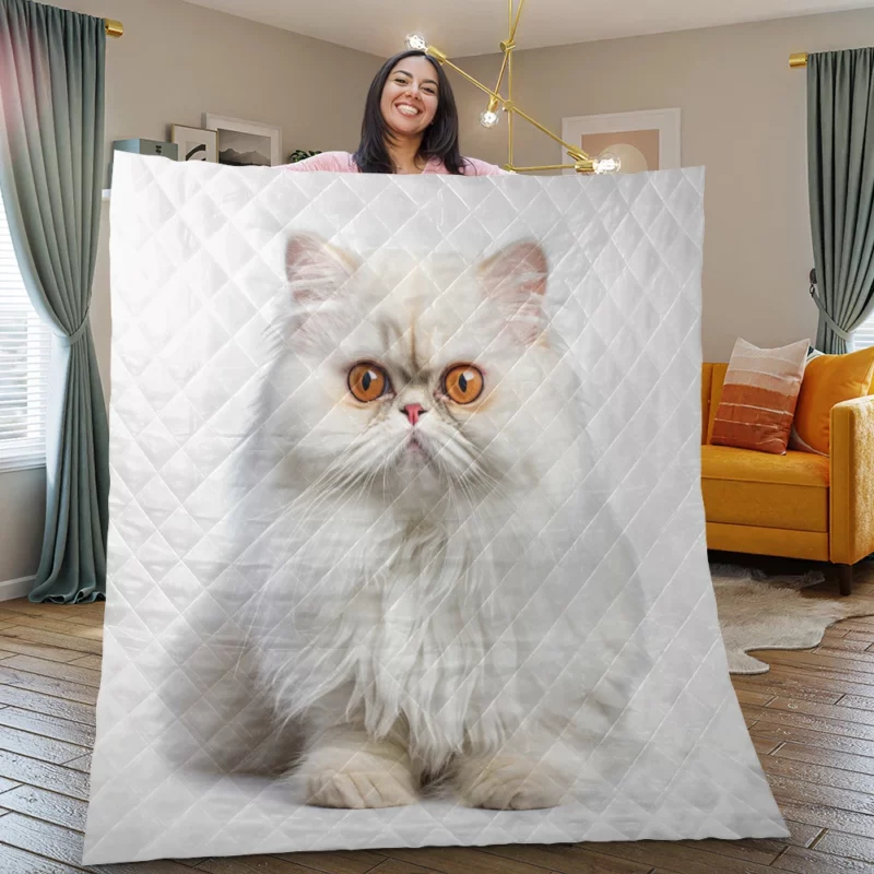 Orange Eyed Angora Cat Quilt Blanket