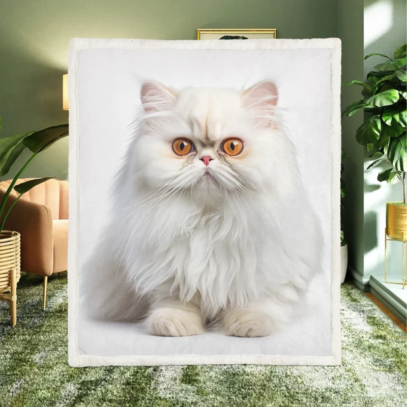 Orange Eyed Angora Cat Sherpa Fleece Blanket