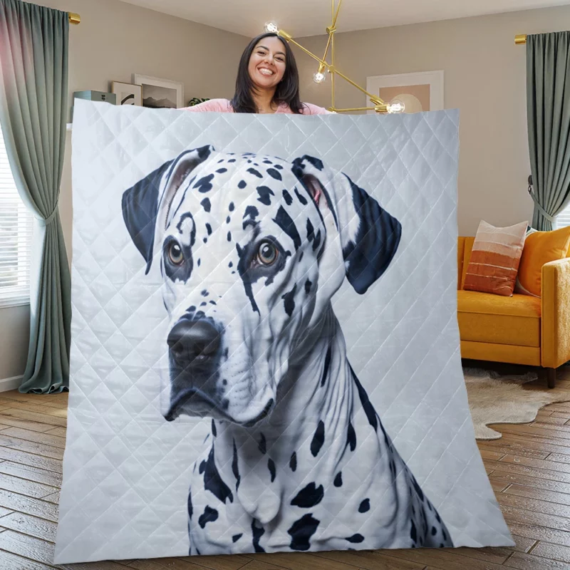 Painted Face Dalmatian Dog Quilt Blanket