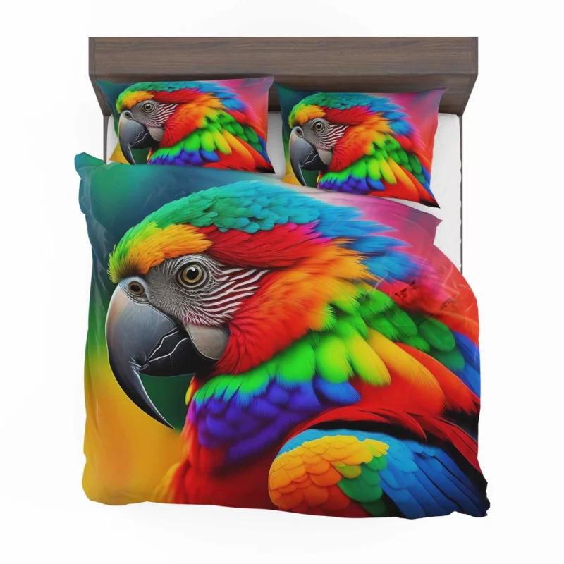 Parrot Colorful Gaze Black Beak