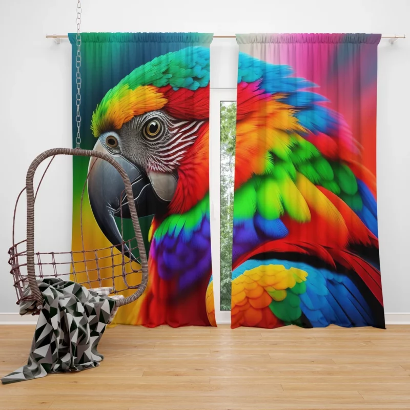 Parrot Colorful Gaze Black Beak