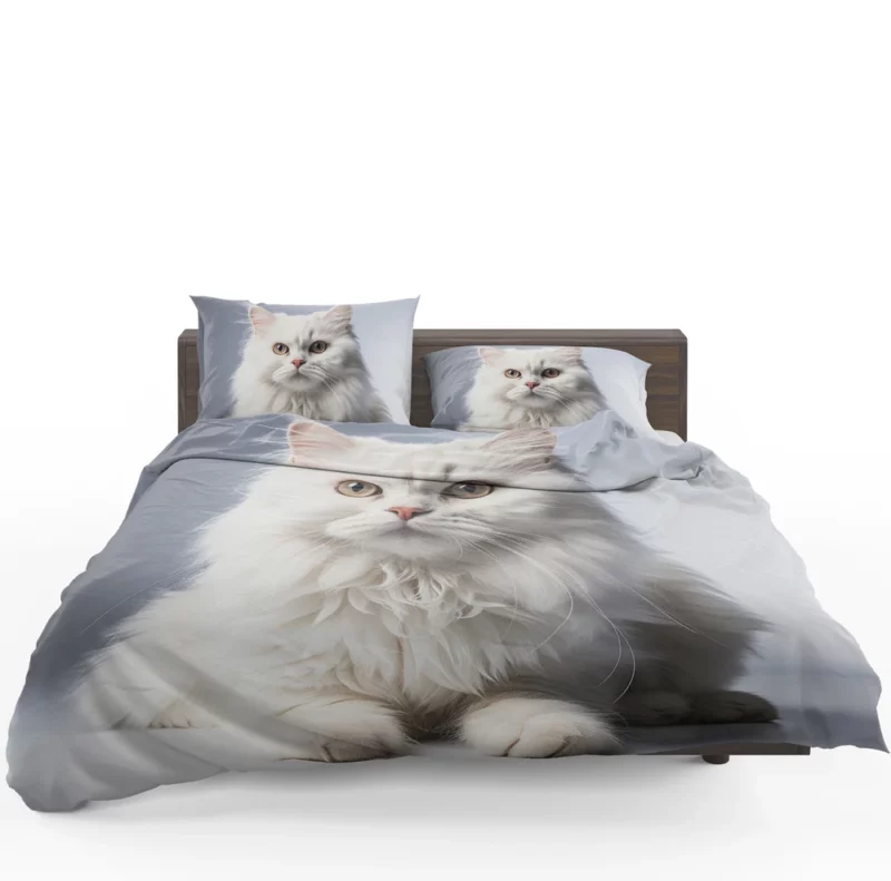 Persian Cat With Dichromatic Eyes Bedding Set 1