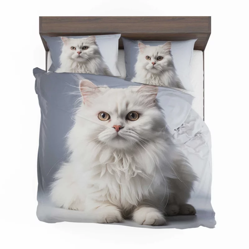 Persian Cat With Dichromatic Eyes Bedding Set 2