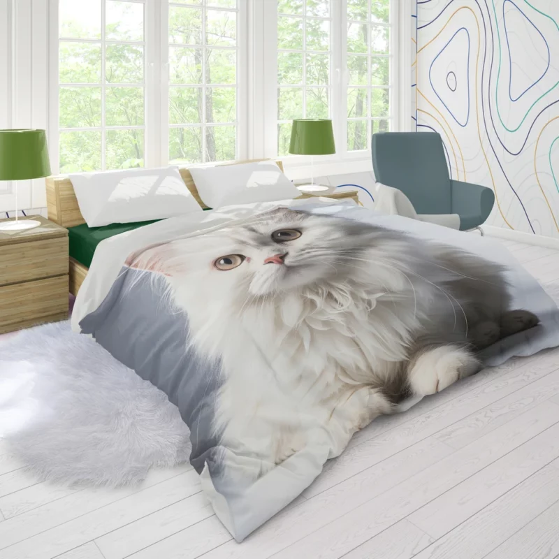 Persian Cat With Dichromatic Eyes Duvet Cover