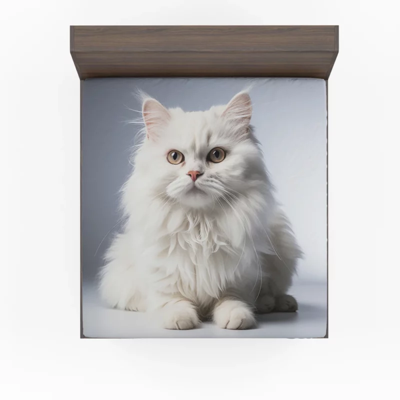 Persian Cat With Dichromatic Eyes Fitted Sheet