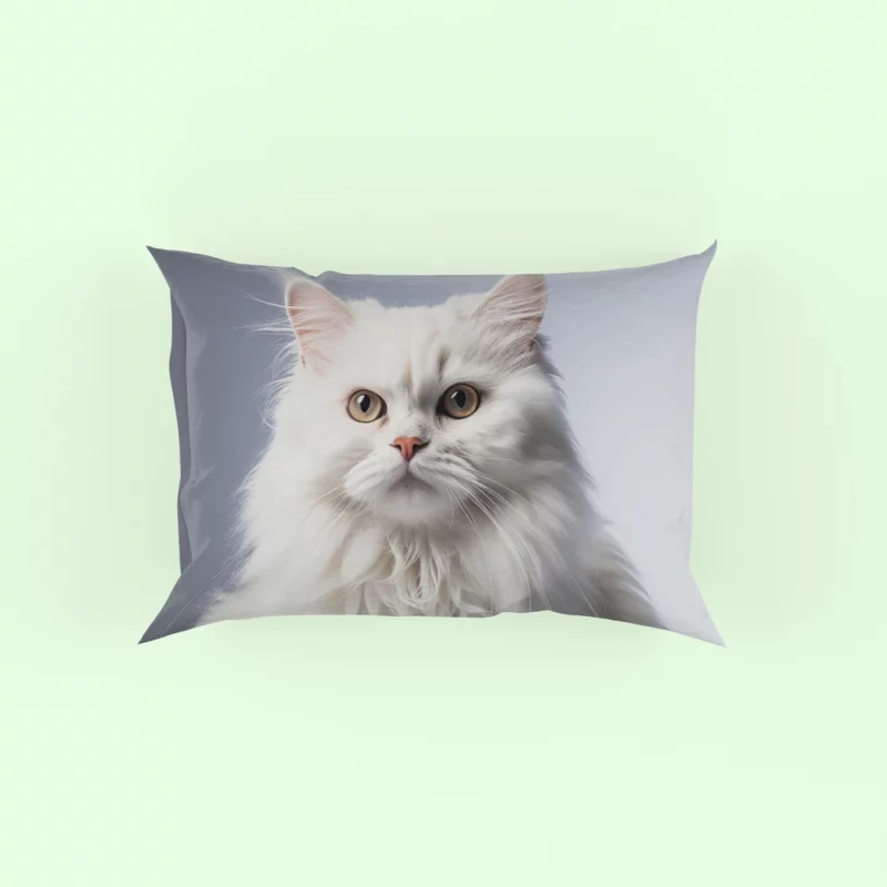 Persian Cat With Dichromatic Eyes Pillow Case