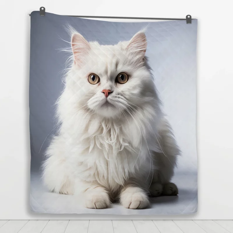 Persian Cat With Dichromatic Eyes Quilt Blanket 1