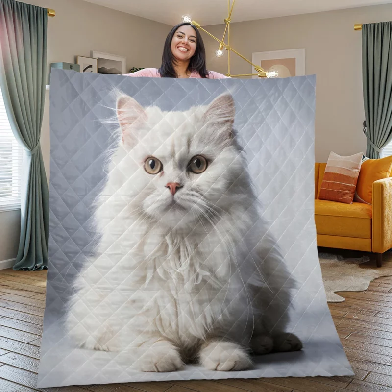 Persian Cat With Dichromatic Eyes Quilt Blanket