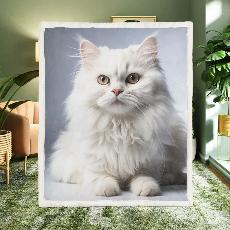 Persian Cat With Dichromatic Eyes Sherpa Fleece Blanket