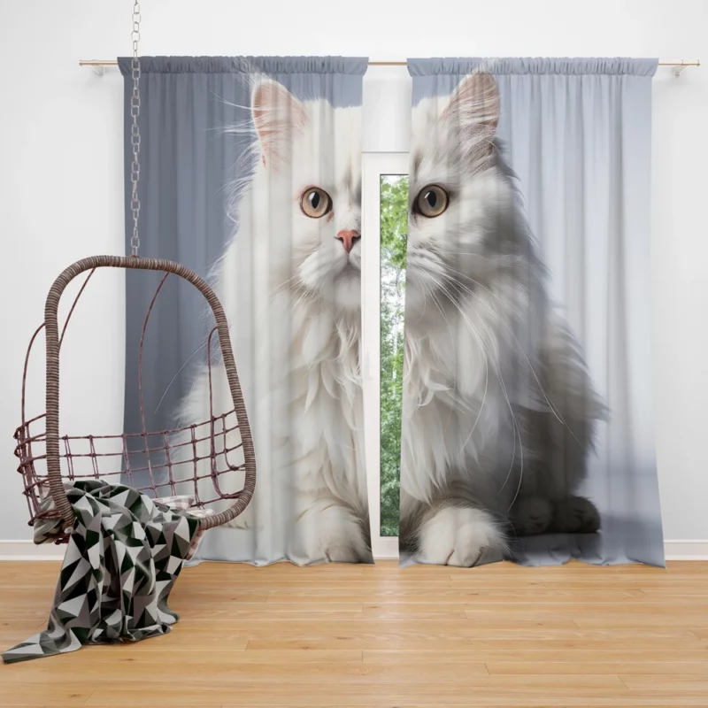 Persian Cat With Dichromatic Eyes Window Curtain