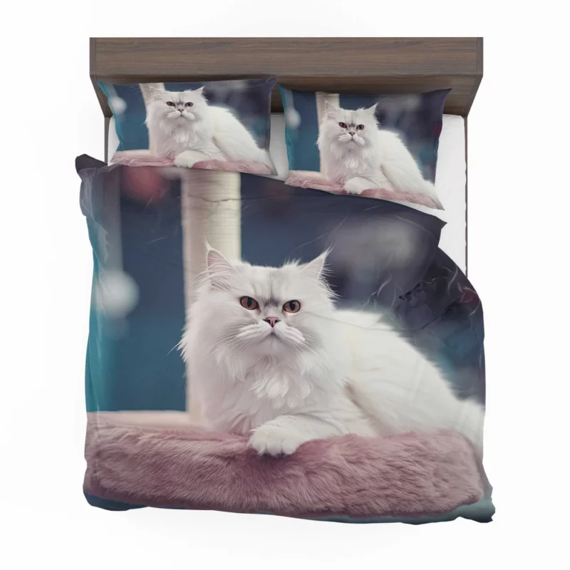 Persian Cat in Salon Bedding Set 2