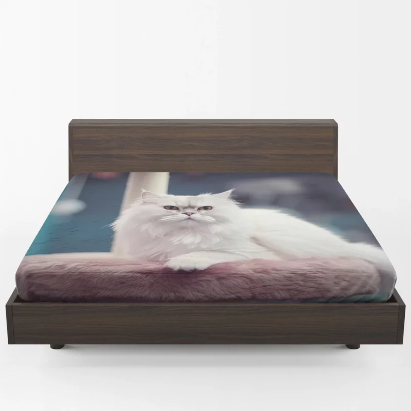 Persian Cat in Salon Fitted Sheet 1