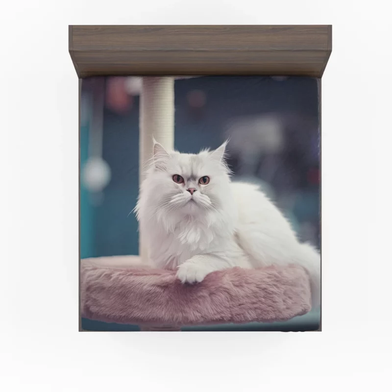 Persian Cat in Salon Fitted Sheet