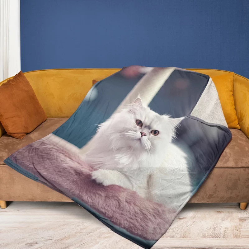 Persian Cat in Salon Fleece Blanket 1