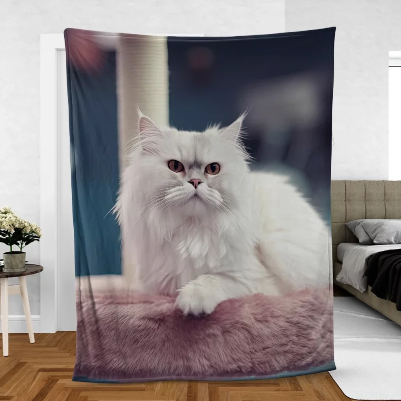 Persian Cat in Salon Fleece Blanket