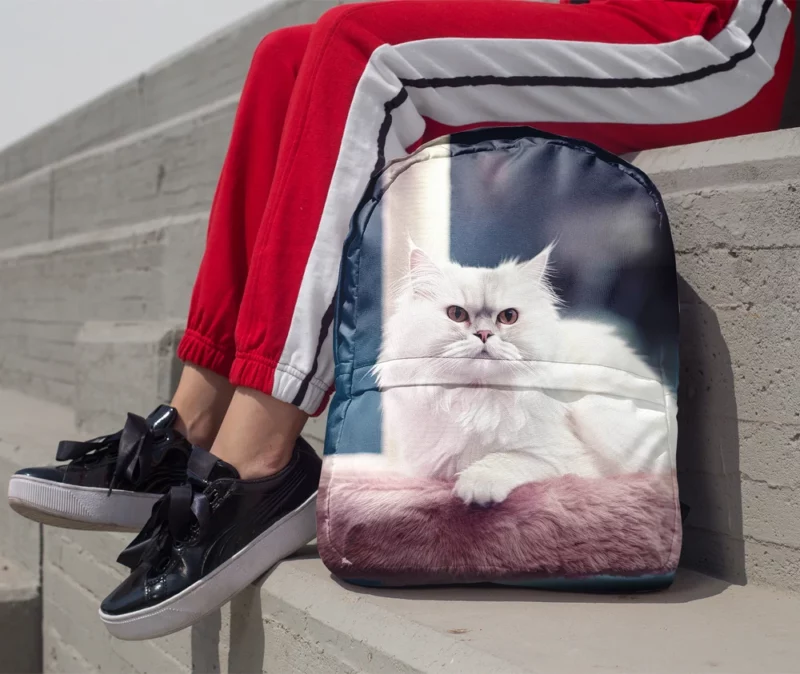 Persian Cat in Salon Minimalist Backpack 1