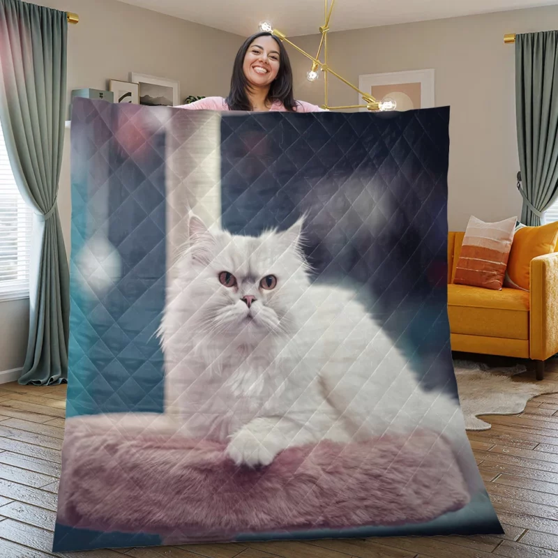 Persian Cat in Salon Quilt Blanket