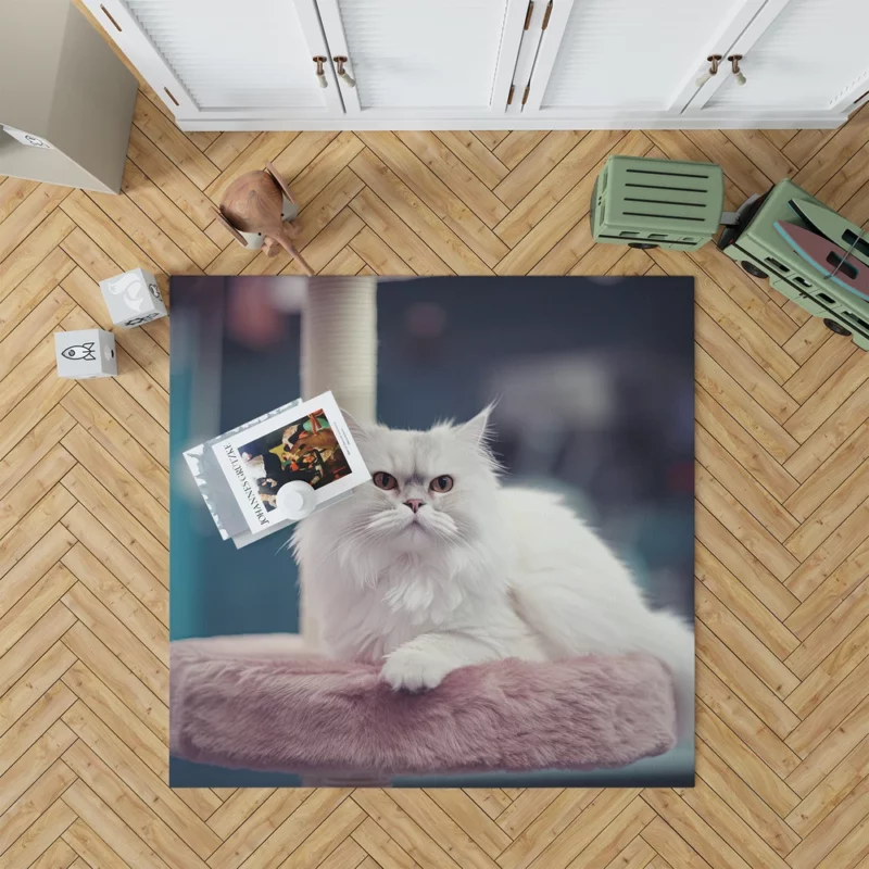 Persian Cat in Salon Rug