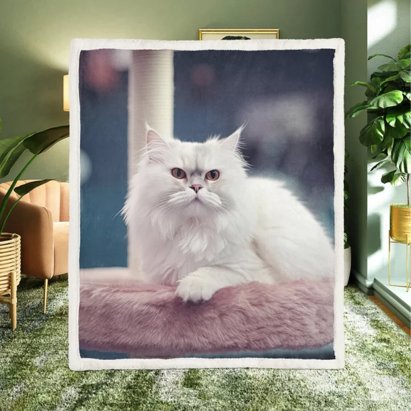 Persian Cat in Salon Sherpa Fleece Blanket