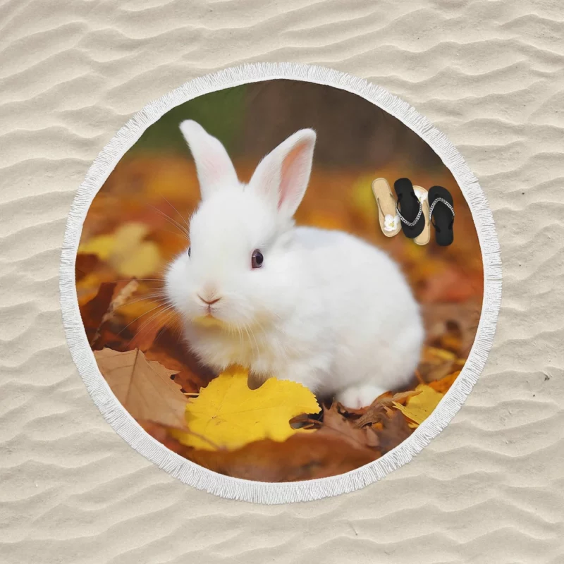Rabbit in Autumn Leaves Round Beach Towel