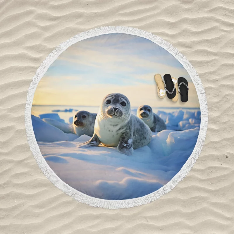 Realistic Seal Art AI-Generated Pictures Round Beach Towel