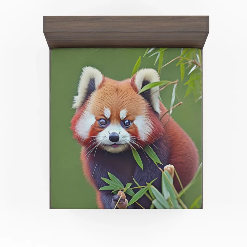 Red Panda Amongst Lush Bamboo Fitted Sheet