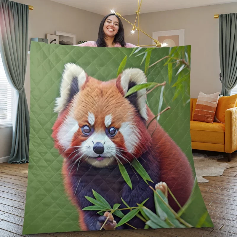 Red Panda Amongst Lush Bamboo Quilt Blanket