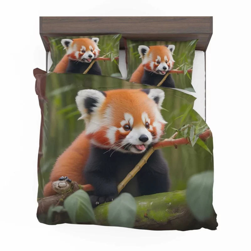 Red Panda Feasting in the Bamboo Forest Bedding Set 2