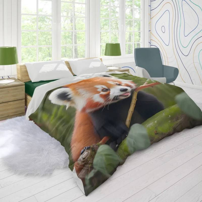 Red Panda Feasting in the Bamboo Forest Duvet Cover