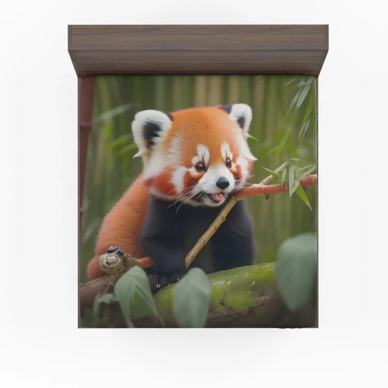 Red Panda Feasting in the Bamboo Forest Fitted Sheet