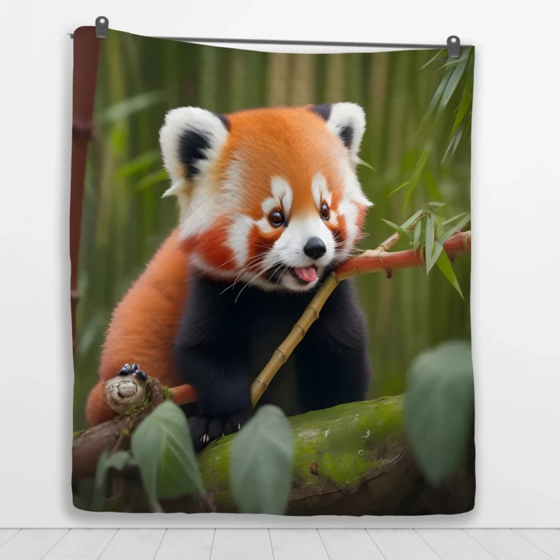 Red Panda Feasting in the Bamboo Forest Quilt Blanket 1