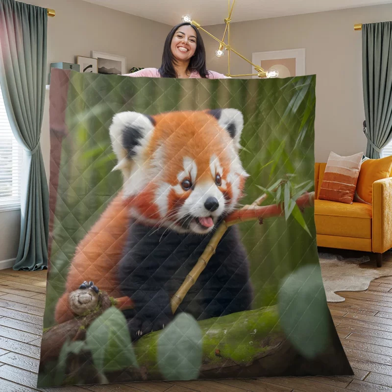 Red Panda Feasting in the Bamboo Forest Quilt Blanket