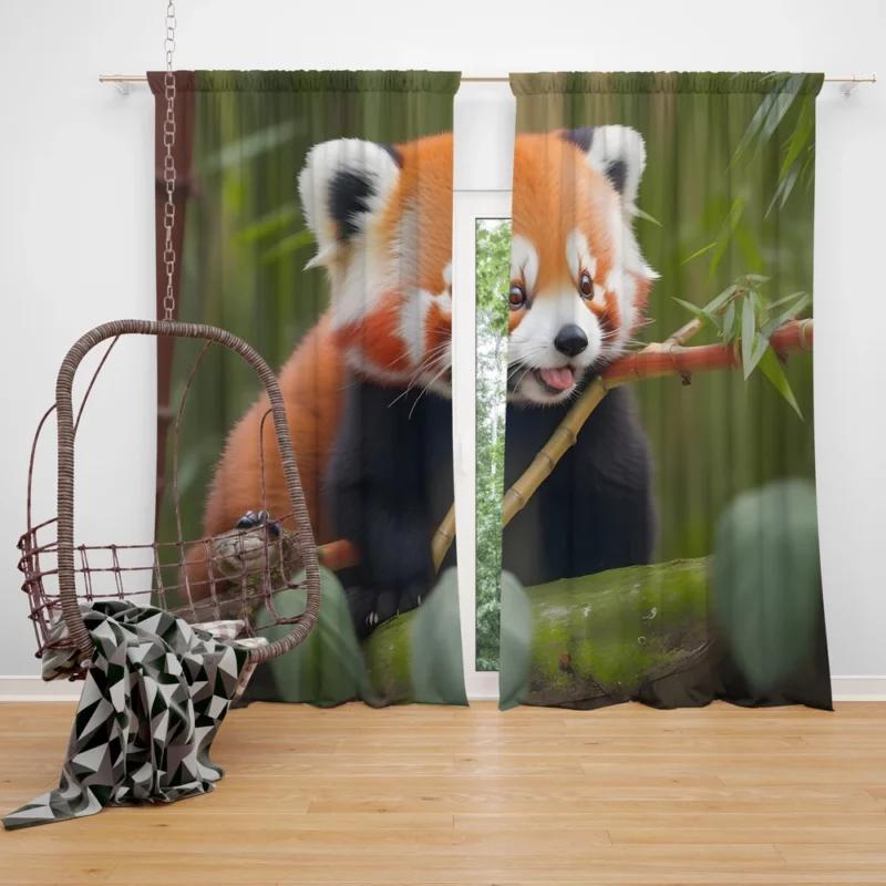 Red Panda Feasting in the Bamboo Forest Window Curtain