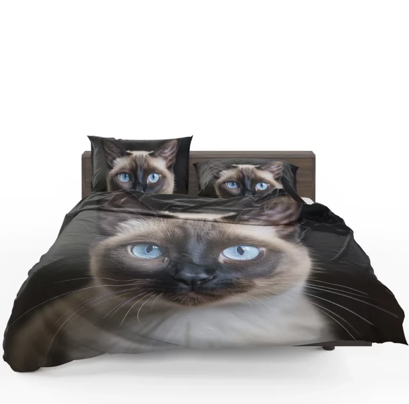 Siamese Cat AI Generation Bedding Set 1