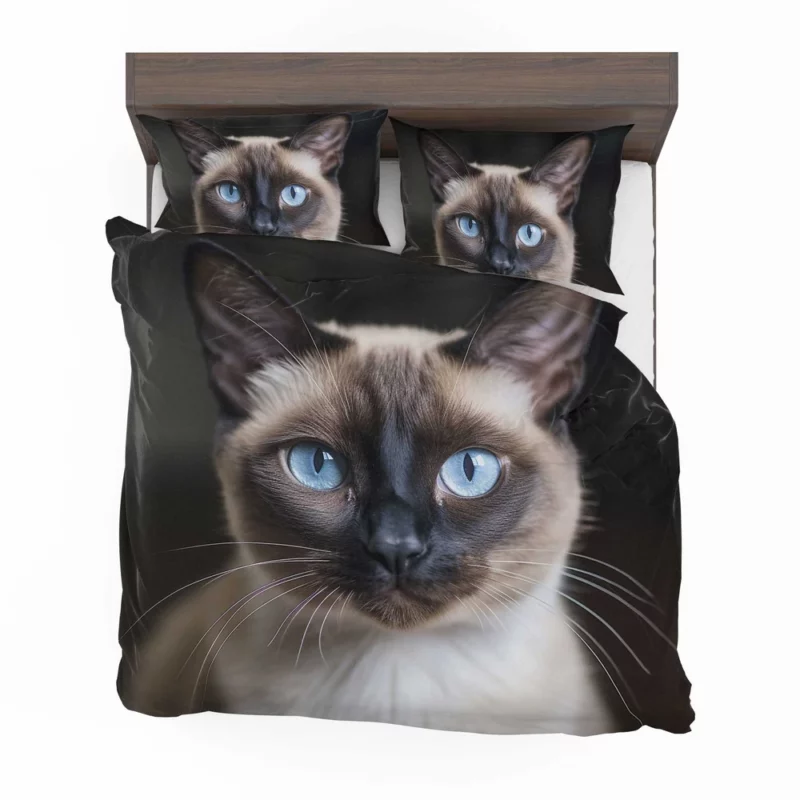 Siamese Cat AI Generation Bedding Set 2