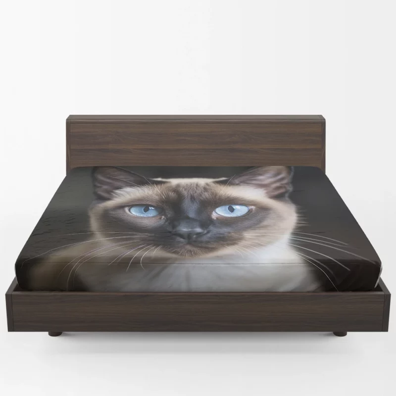 Siamese Cat AI Generation Fitted Sheet 1